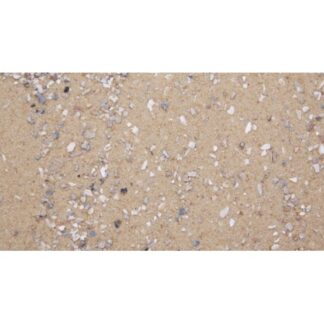 Bird Cage Sand 10kg