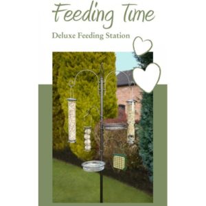 Feeding Time Deluxe Feeding Station
