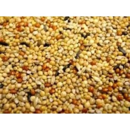 Willsbridge Foreign Finch 1kg