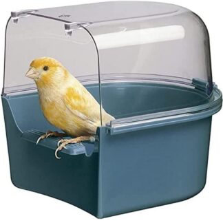 Bird Bath