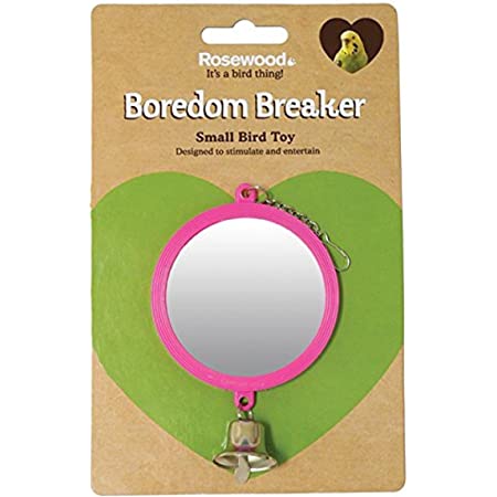 61wVtVcA1FS._AC_SS450_