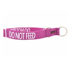 DO NOT FEED LARGE SNAP COLLAR 38cm-64cm