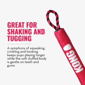 Kong Signature Stick with Rope