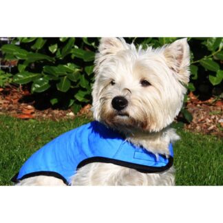 Prestige “Cool Dog” Cooling Coat Blue