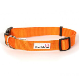 Collars Doodlebone