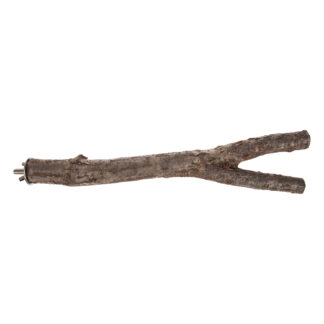 Branch Perch