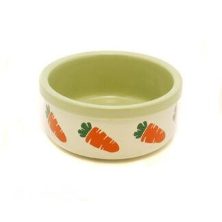 Stoneware Ceramic Bowl Carrot