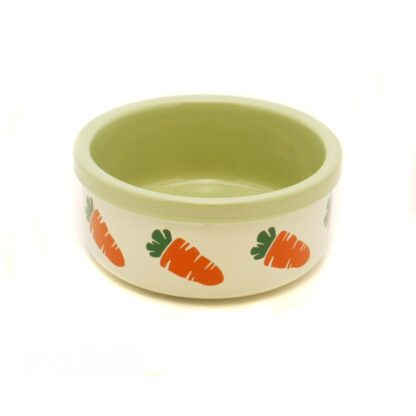 Stoneware Ceramic Bowl Carrot