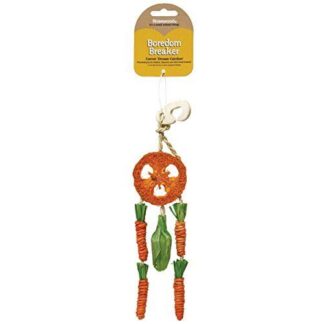 Boredom Breaker Carrot Dream Catcher