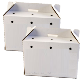 PPI Cardboard Pet  Carrier
